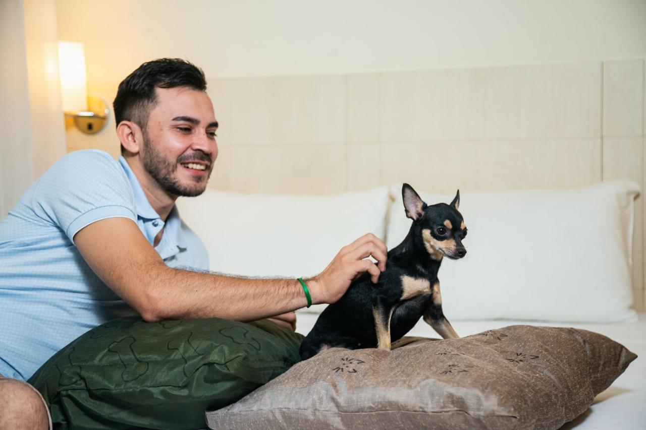 Ibis Styles Belem Batista Campos Hotel Ngoại thất bức ảnh